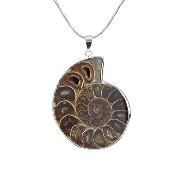 Ammonite Pendant